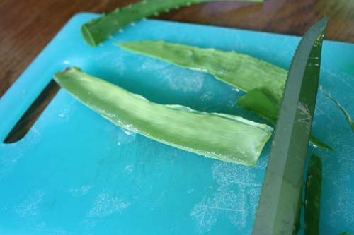 Feuille d'Aloe vera coupée